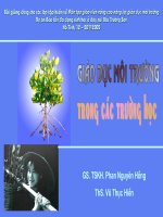 Giáo dục môi trường trong các trường học