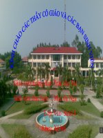 con chó Bấc- Mạc thị Nga