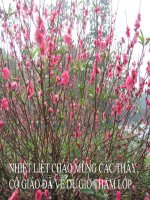 van 7 mua xua cua toi