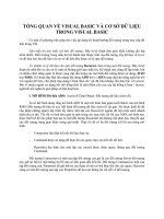 TỔNG QUAN VỀ VISUAL BASIC VÀ CƠ SỞ DỮ LIỆU TRONG VISUAL BASIC