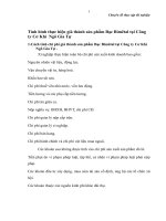 Tình hình thực hiện giá thành sản phẩm Bạc Bimêtal tại Công ty Cơ Khí  Ngô Gia Tự