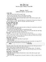 giao an lop 5 tuan 13