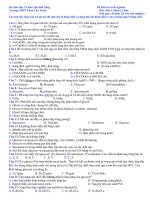 de thi hoc ki 1 moi nhat