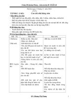 Giao an lop 2- Tuan 16 hai buoi