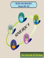 Tiết 35 ôn tập học kỳ I