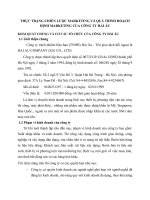 THỰC TRẠNG CHIẾN LƯỢC MARKETING VÀ QUÁ TRÌNH HOẠCH ĐỊNH MARKETING CỦA CÔNG TY HẢI ÂU