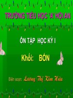 ON TAP THI  HOC KY I LOP 4_2010-2011