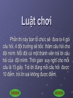 Ngoại khoa ve thue