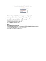 CODE CHỮ CHẠY QUA TRÁI