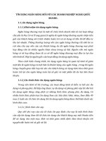 TÍN DỤNG NGÂN HÀNG ĐỐI VỚI CÁC DOANH NGHIỆP NGOÀI QUỐC DOANH