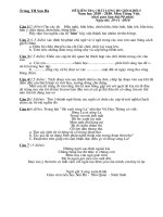 De thi hoc sinh gioi Tieng Viet 5