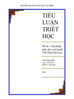 Đề Tài: Giải pháp giáo dục con người Việt Nam hiện nay