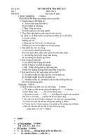 Đề KTHKI lý 7 tham khảo (4)