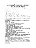 Đề cương ôn tập sinh 6 kỳ I-năm học 20102011