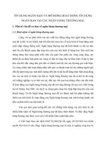 TÍN DỤNG NGẮN HẠN VÀ MỞ RỘNG HOẠT ĐỘNG TÍN DỤNG NGẮN HẠN TẠI CÁC NGÂN HÀNG THƯƠNG MẠI