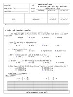 ĐỀ KTGHK I TIẾNG VIỆT + ĐÁP ÁN Năm học 10 - 11