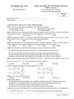 DE KT VL12 HKI 2010-2011