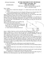 ĐỀ THI CHỌN ĐỘI TUYỂN QUỐC GIA 2010