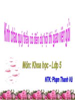 Sự sinh sản của thực vật có hoa