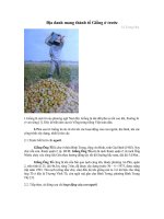 Địa danh mang thành tố Giồng ở trước