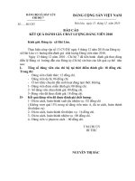 BÁO CÁO ĐÁNH GIÁ CHẤT LƯỢNG ĐẢNG VIÊN