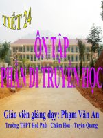 Tiết 24 - Ôn tập phần di truyền học