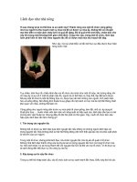 Lãnh đạo như nhà nông