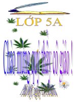 Người gác rừng tí hon