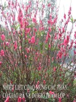 bài 15 mùa xuân của tôi