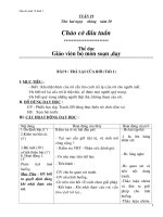 giao an lop 2 tuan 19 buoi 1