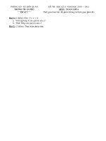 DE THI HKI TOAN 6 2010  2011.doc