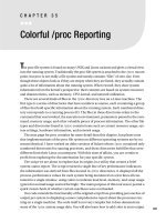 Colorful proc Reporting