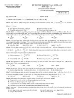 ĐỀ THI THỬ ĐẠI HỌC NĂM 2009 LẦN 1 MÔN VẬT LÝ (Mã đề thi 132)