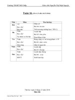 GA LỚP 1 TUẦN 16(CKTKN)