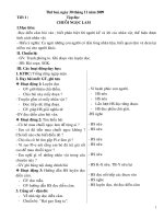 Giao an tuan 14 chuan (hot)