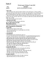 Lớp 5 - Tuần 15