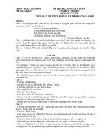 ĐỀ THI HSG LỚP 9  2010-2011