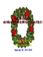 Đồng bang song Cưu Long