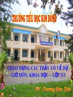 Khoa hoc bai Cao su - Tuan 15