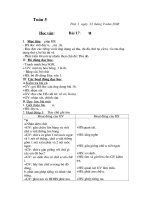 Giáo án Lớp 1 Tuần 5 - Sơn