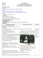 Mỹ Thuật (25-28)