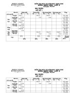 Đề thi Ngữ văn 9 học kỳ I