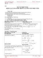 Giáo án Tự chọn 11-cơ bản