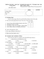 ĐỀ THI HKI MÔN TIẾNG ANH 9 (2010-2011)