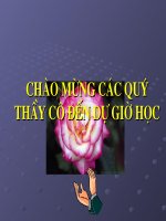 giao an dai do giai tinh 11 (tron bo)