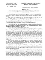 BC đánh giá thực hiện chuẩn KTKN và đổi mới PPDH ở Tiểu học