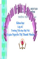 Nuoc can cho su song