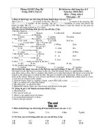 De thi hoc ki I Anh 6 - 2010