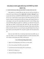 Giải pháp và kiến nghị nhằm hạn chế RRTD tại SGDI