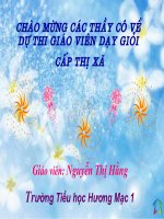 luyện tập tả người
